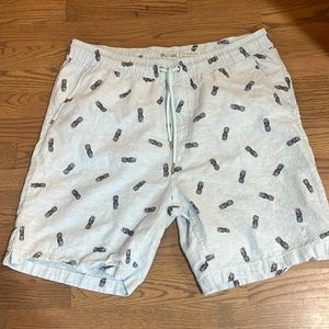 Tenth & ocean mens shorts
